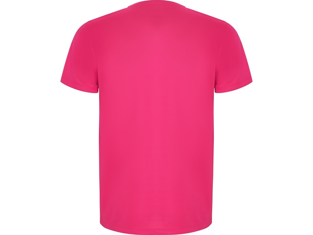 Спортивная футболка Imola мужская