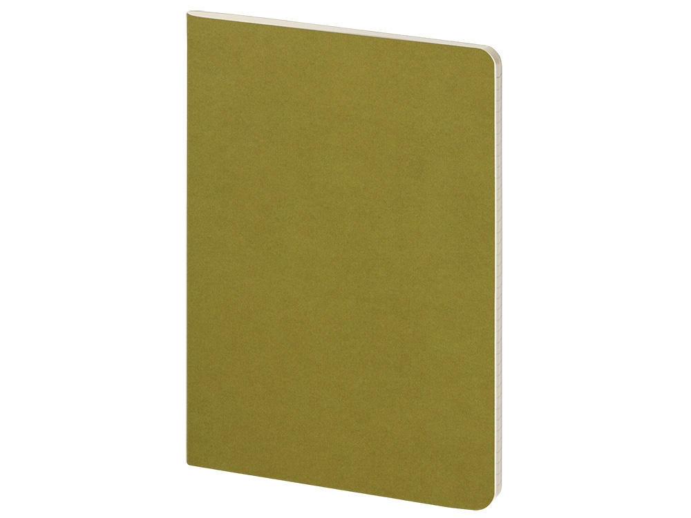 Бизнес тетрадь А5 Pragmatic