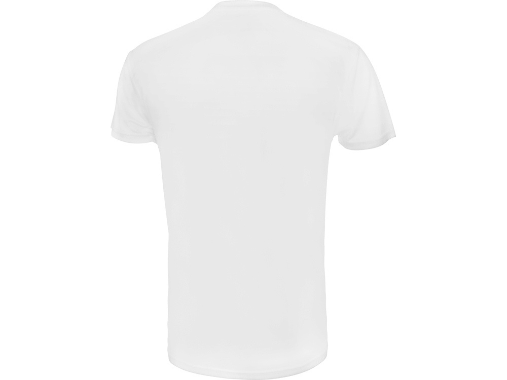 Футболка спортивная Verona мужская