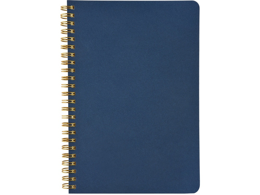 Бизнес тетрадь А5 Pragmatic