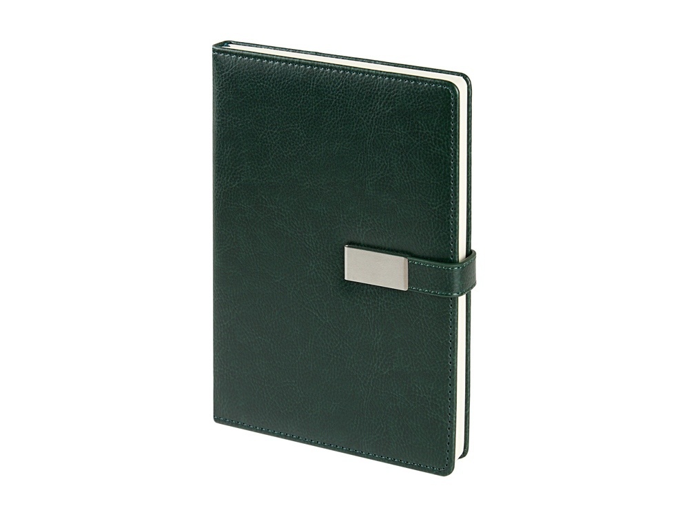 Ежедневник недатированный А5 Verona