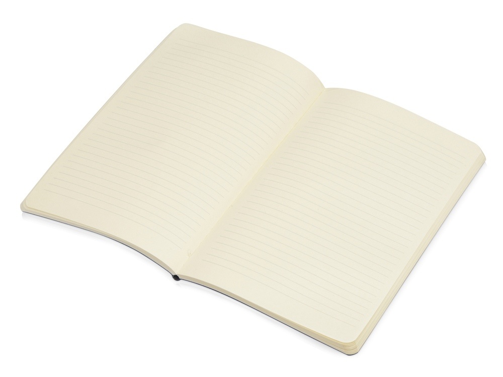 Блокнот А5 Softy soft-touch