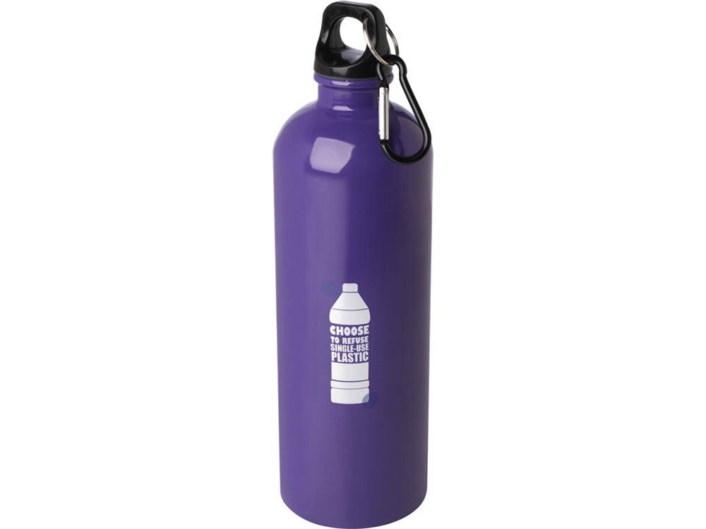 Одностенная бутылка для воды с карабином Oregon, 750 мл