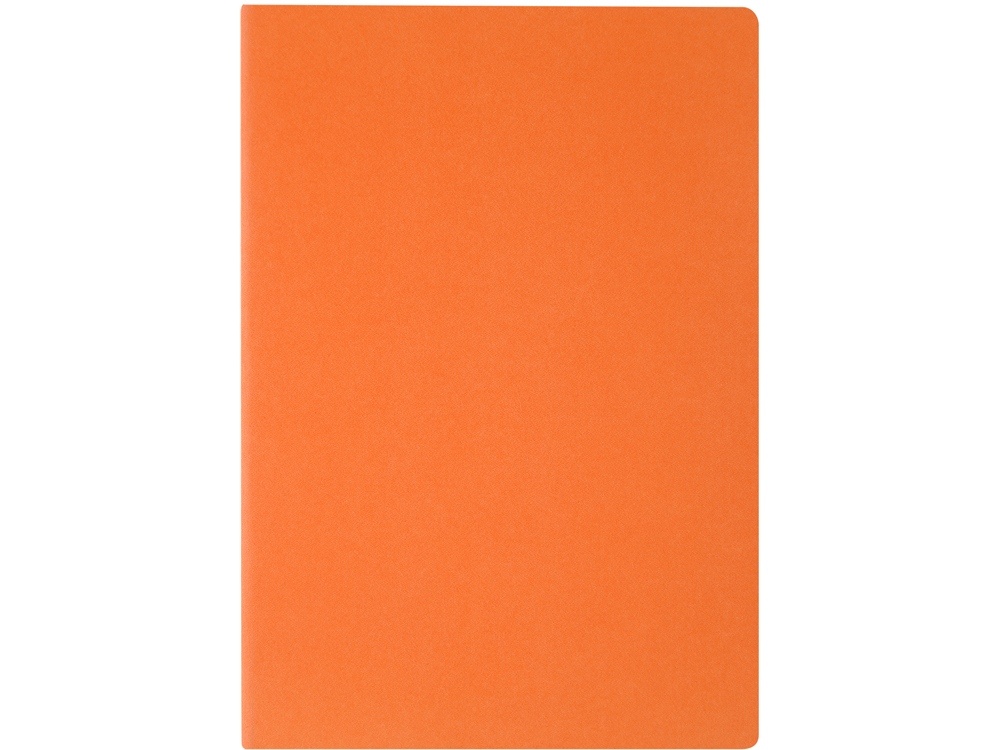 Бизнес-тетрадь А4 Pragmatic