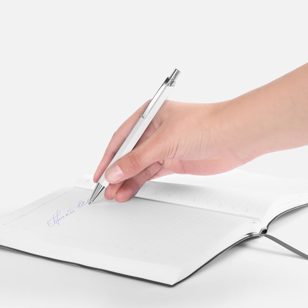 Ручка шариковая Alumno