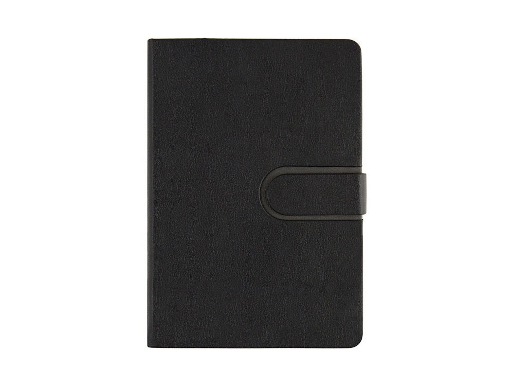 Ежедневник недатированный А5 Status