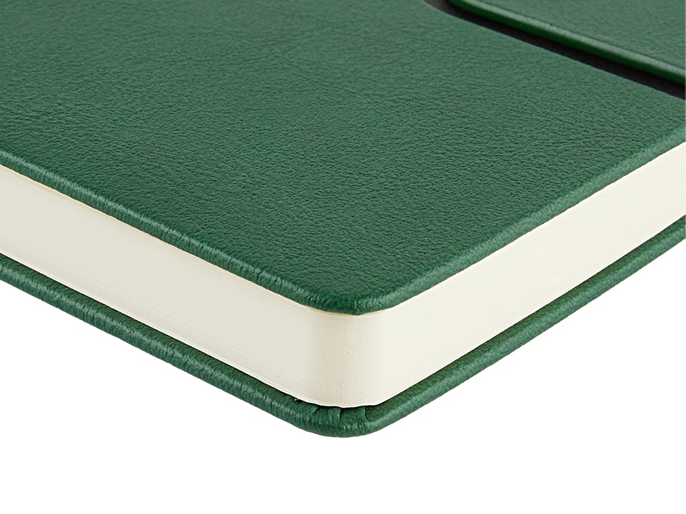 Ежедневник недатированный А5 Status