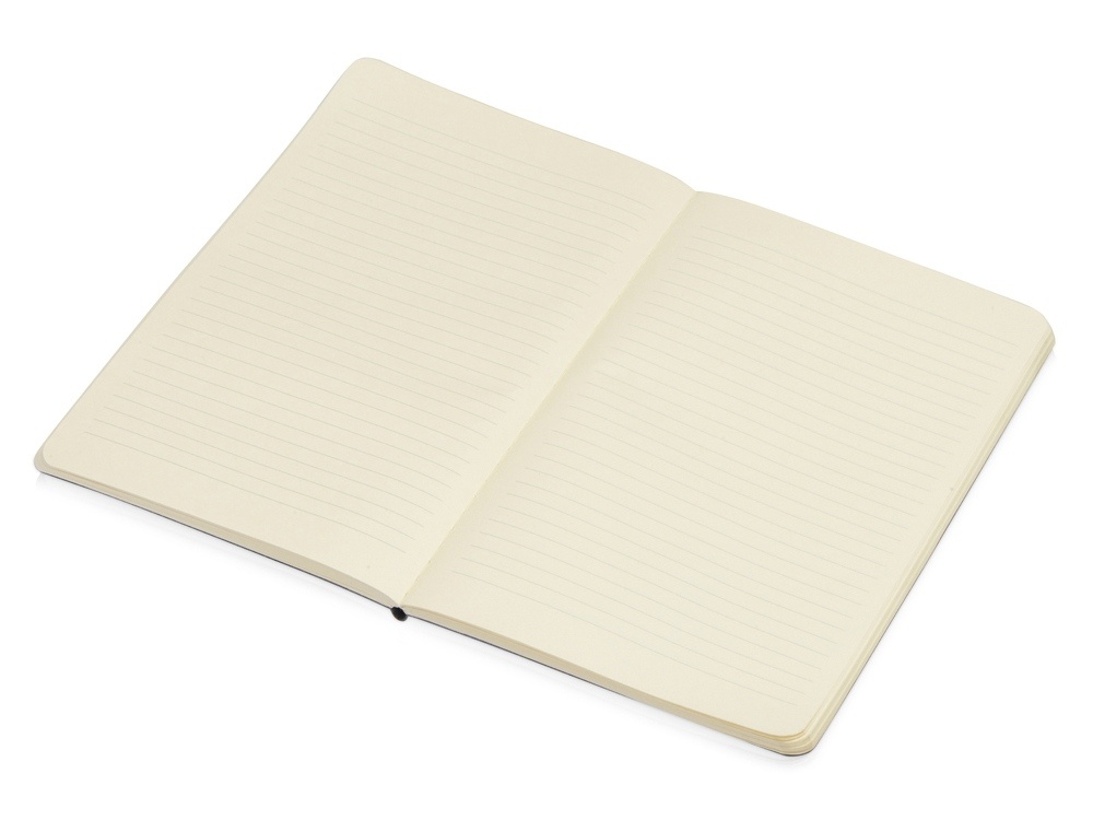 Блокнот А5 Softy soft-touch