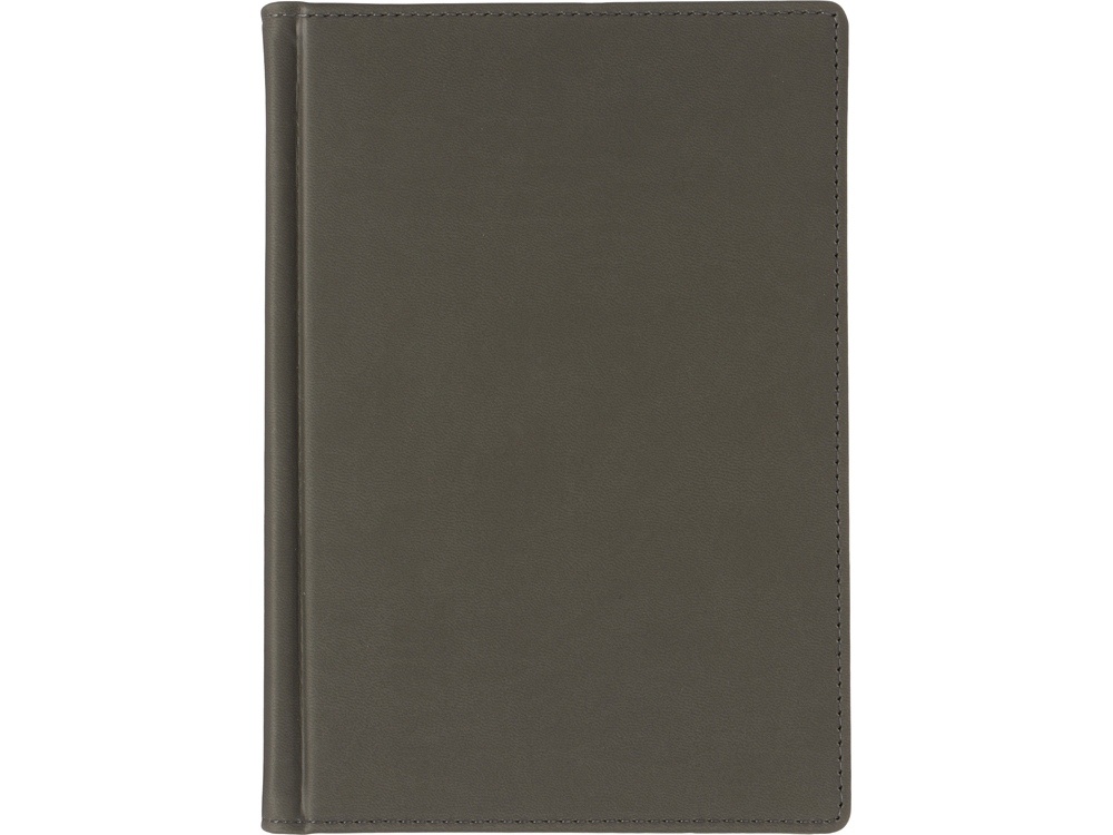 Ежедневник недатированный А4 Velvet