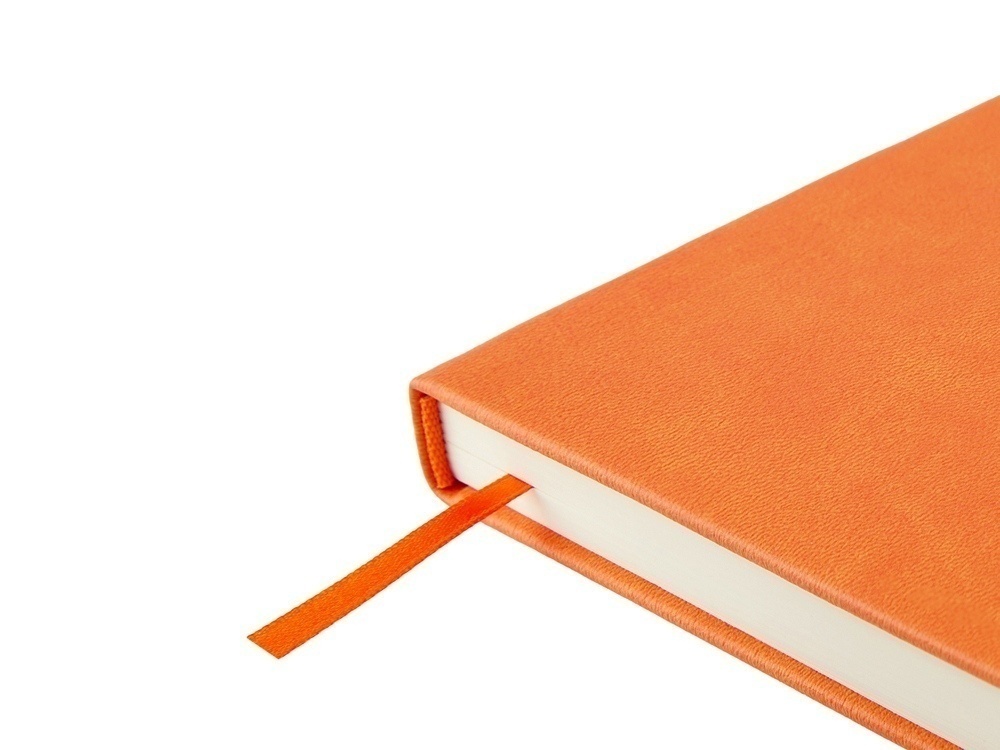 Ежедневник недатированный А5 Status