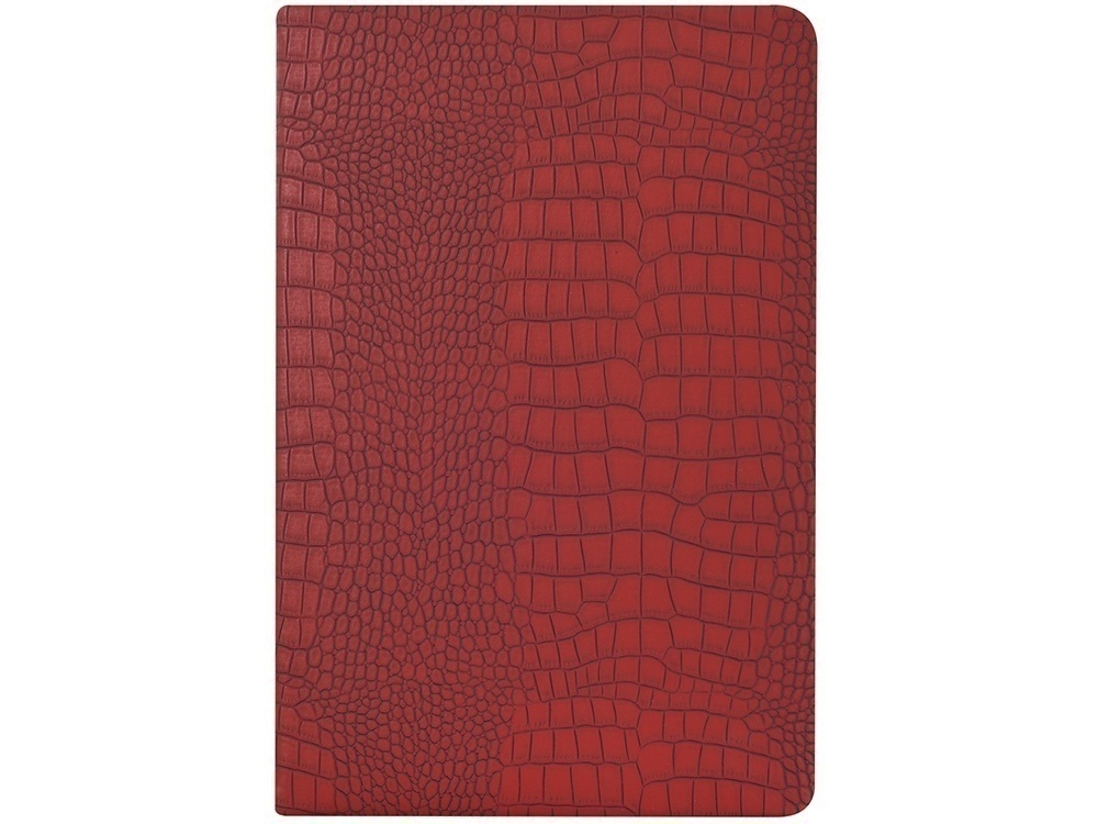 Ежедневник недатированный А5 Amazonia