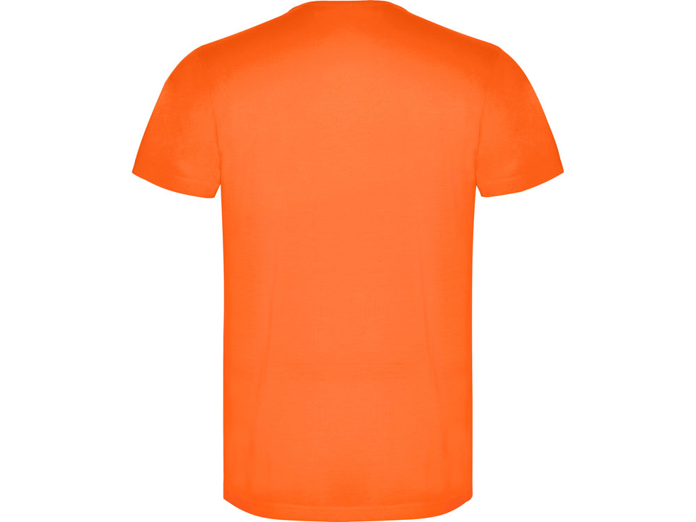 Футболка Akita мужская